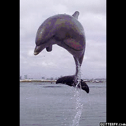 mozgo.gif